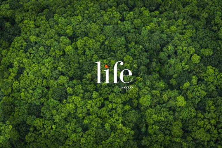 Life by Èggo sobre una vista aérea de un bosque